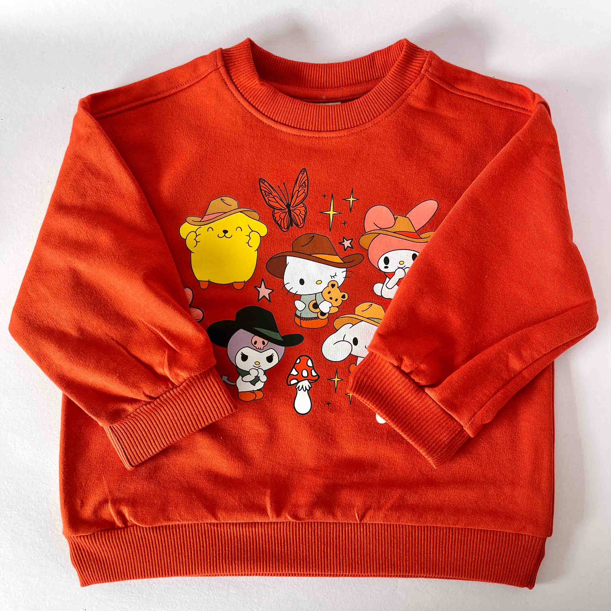 Red sweatshirt with cartoon characters on a white background