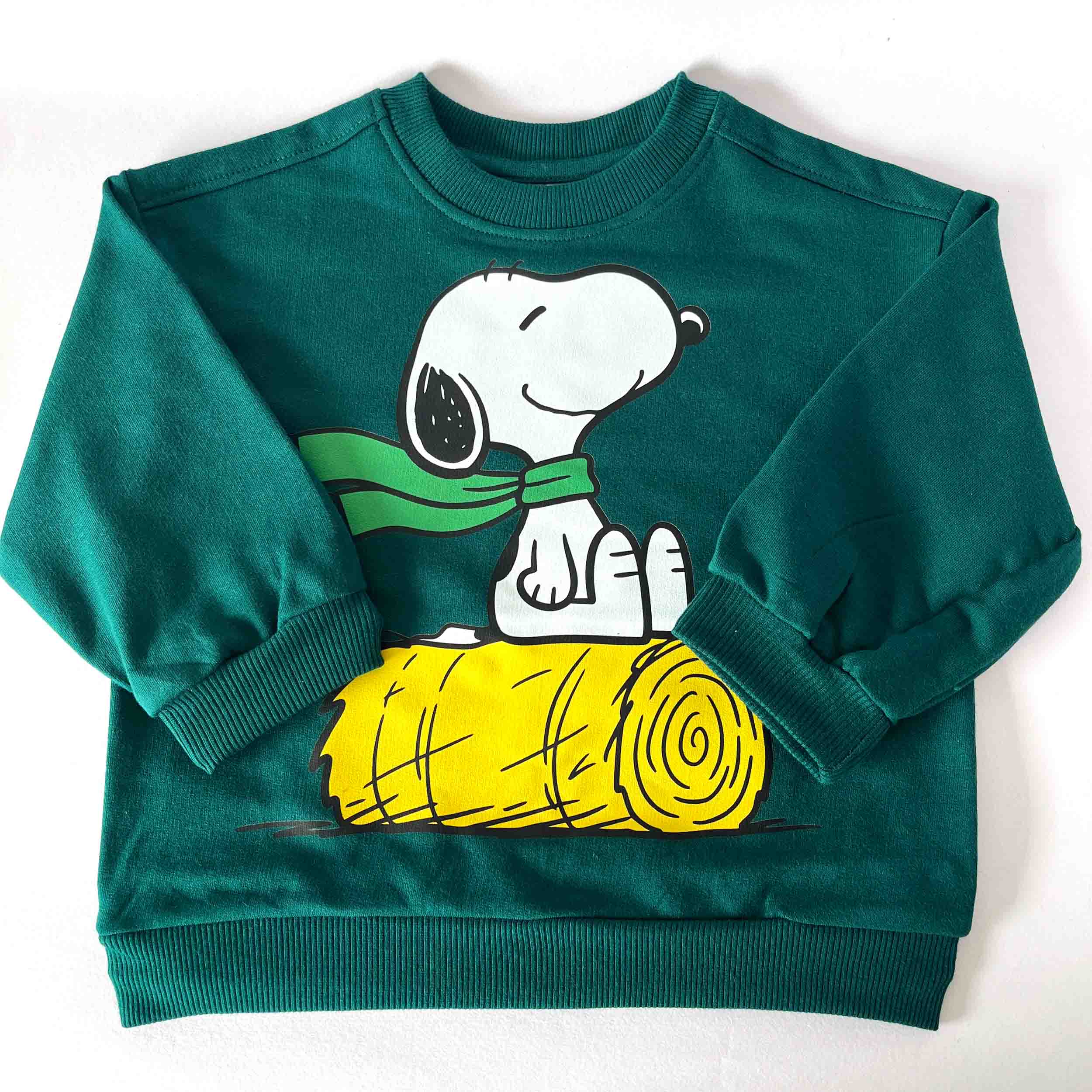 Green sweatshirt with cartoon on a log graphic on a white background
