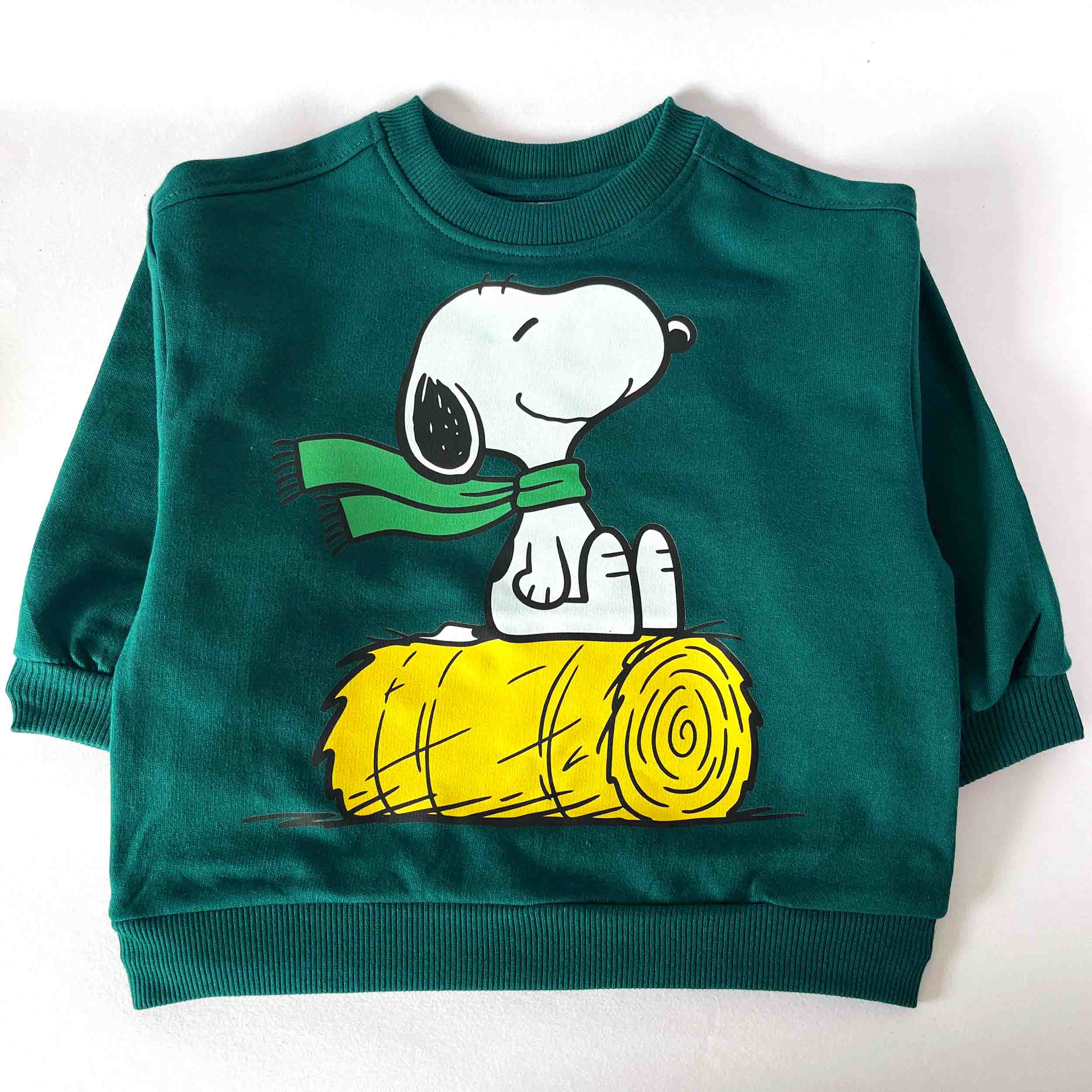Green sweatshirt with a cartoon dog design on a white background