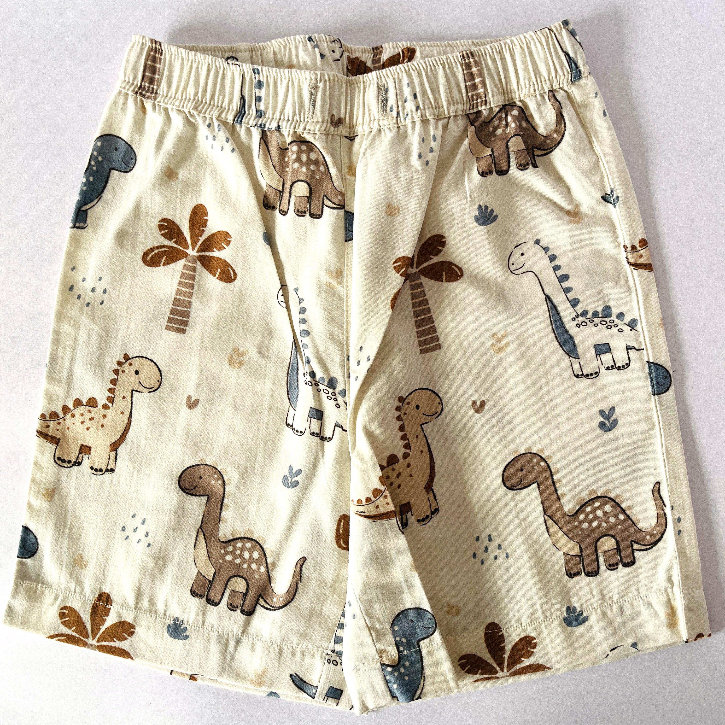 Adorable Dino Coord Set