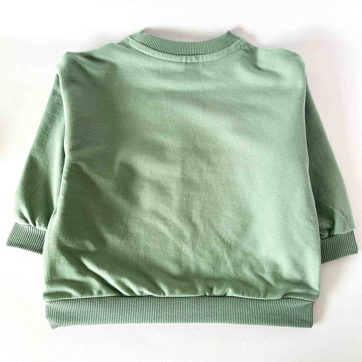 Back view of kids green sweatshirt plain full sleeves cotton 