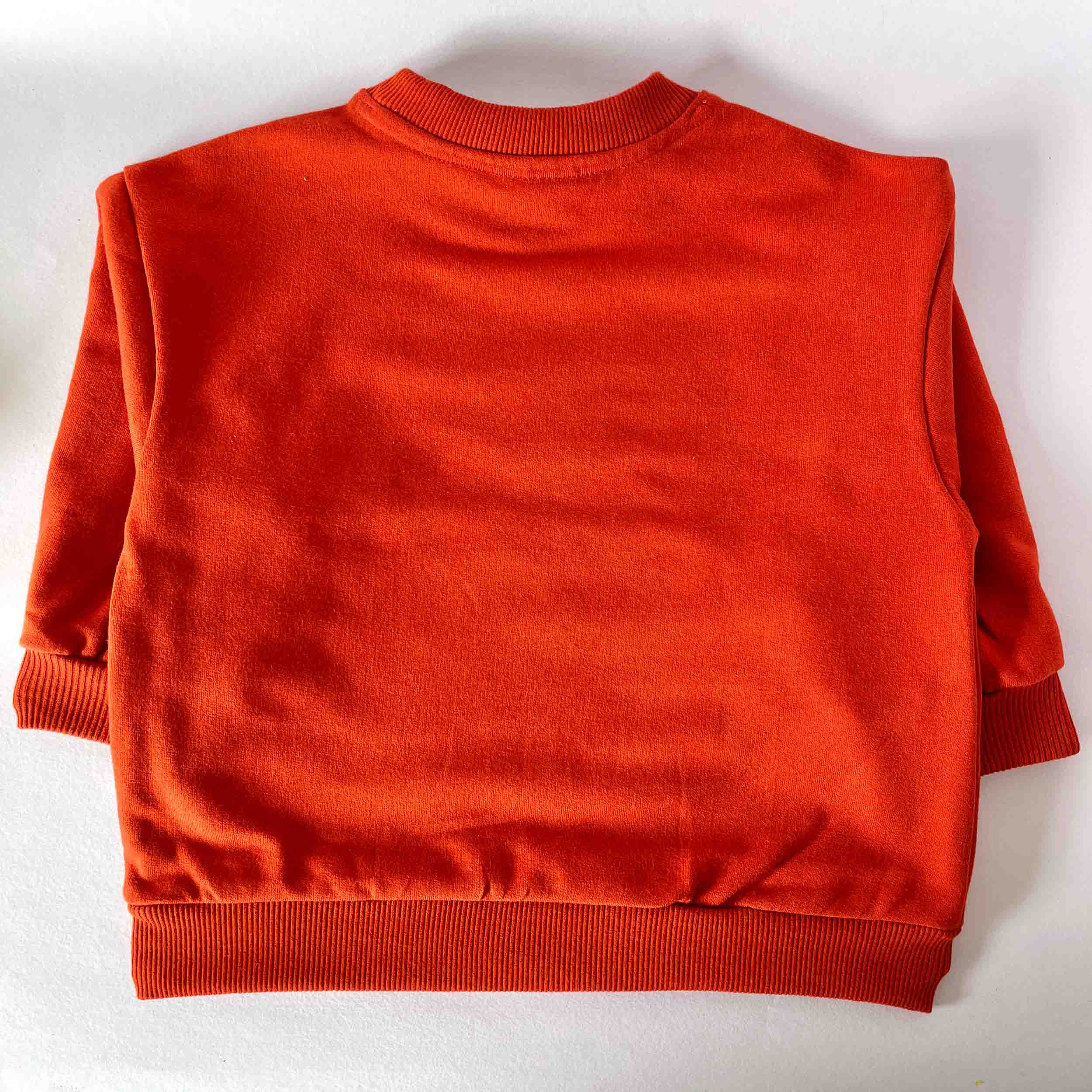 Back view of an orange sweatshirt on a white background