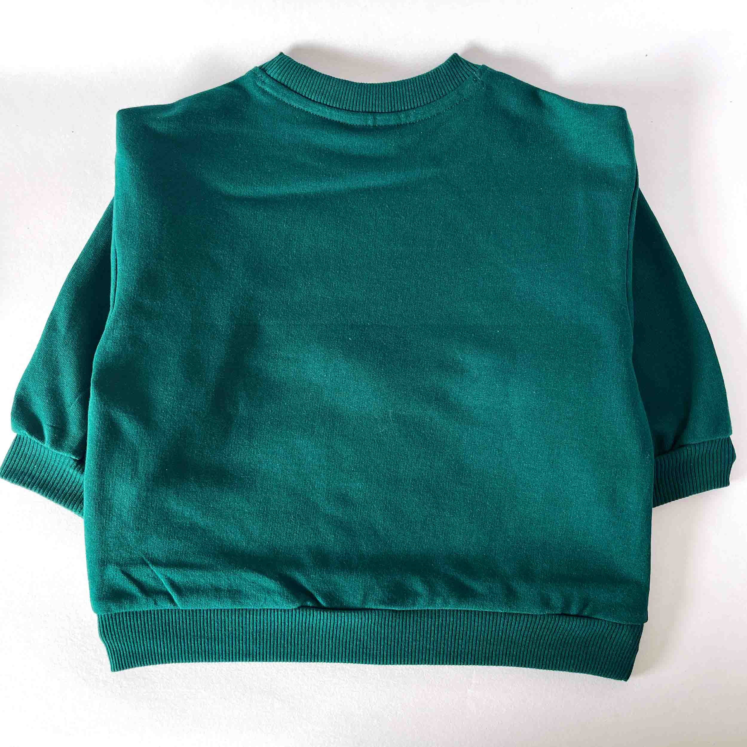 Back view of a green sweatshirt on a white background
