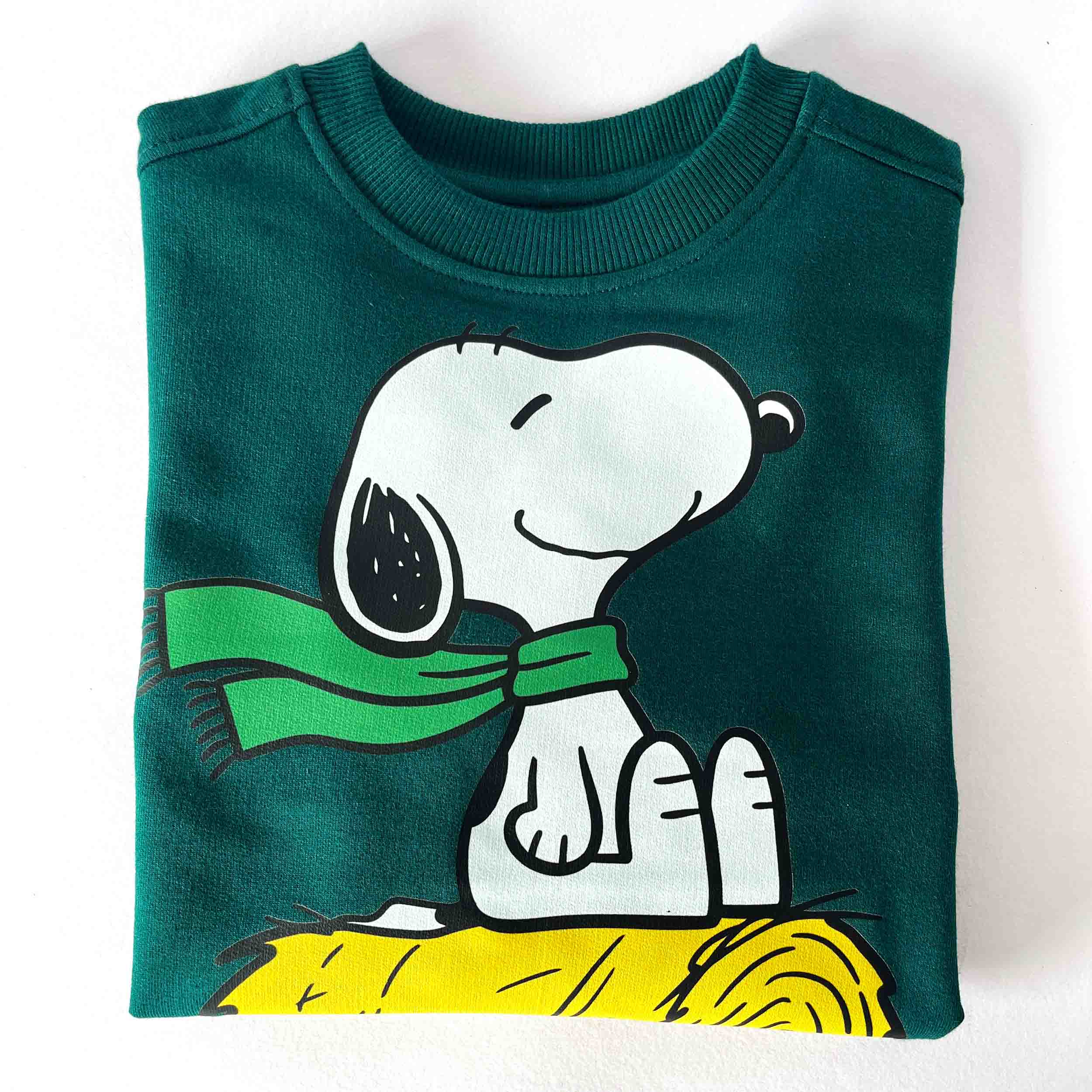 Green sweatshirt with a cartoon dog wearing a green scarf on a white background