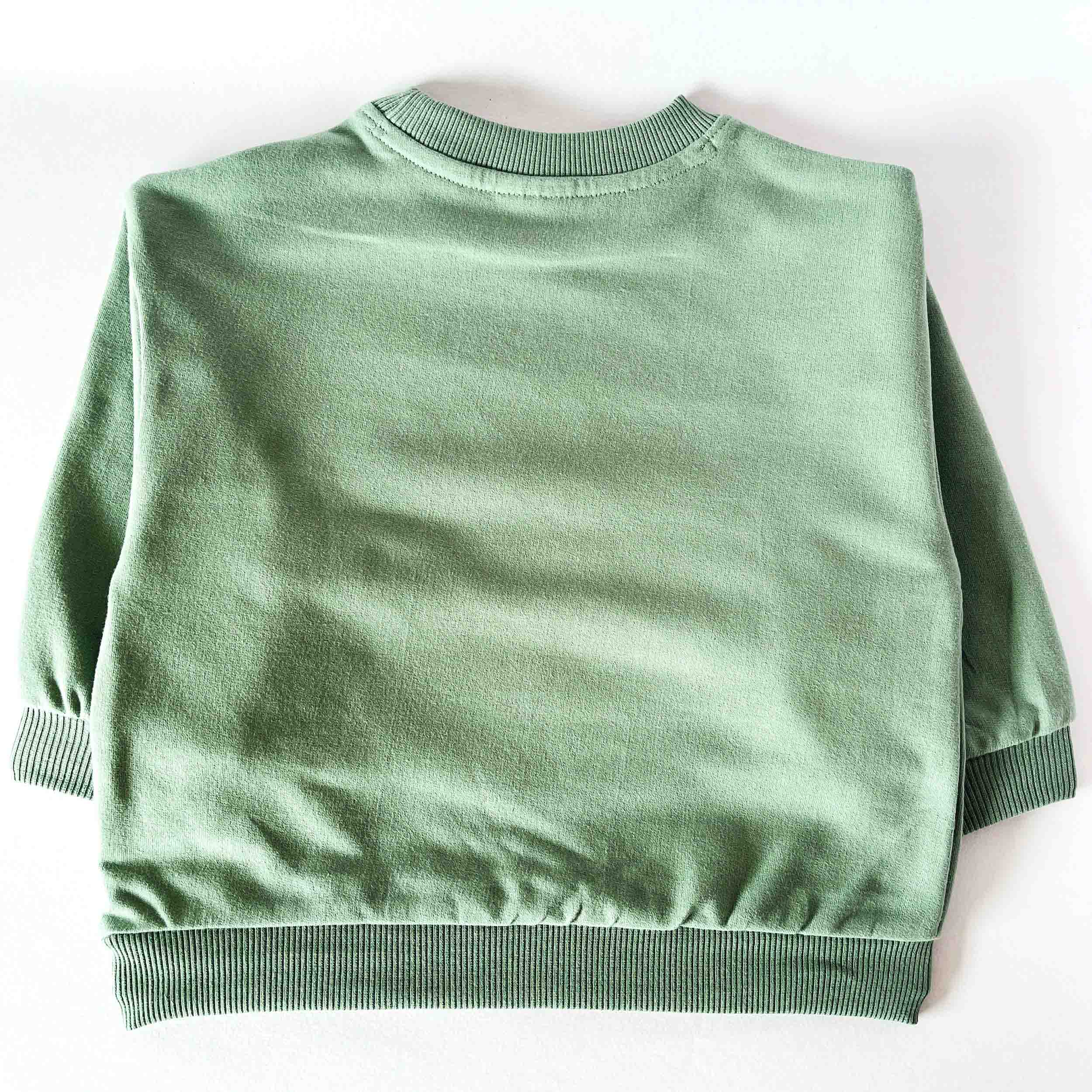 Kids plain cotton sweatshirt back view with round neck and long sleeve design 