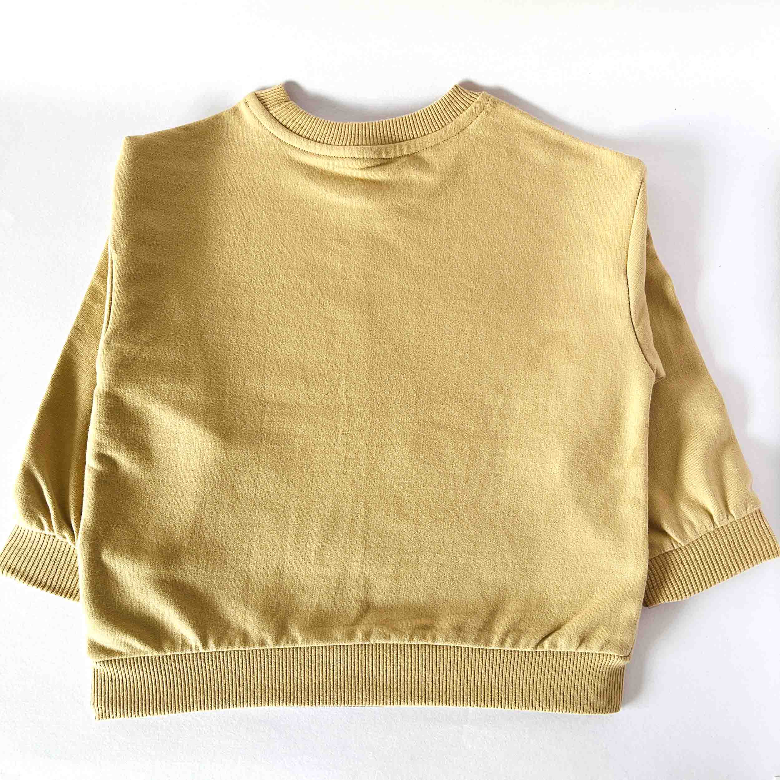 Kids cotton sweatshirt back view with round neck and long sleeve design