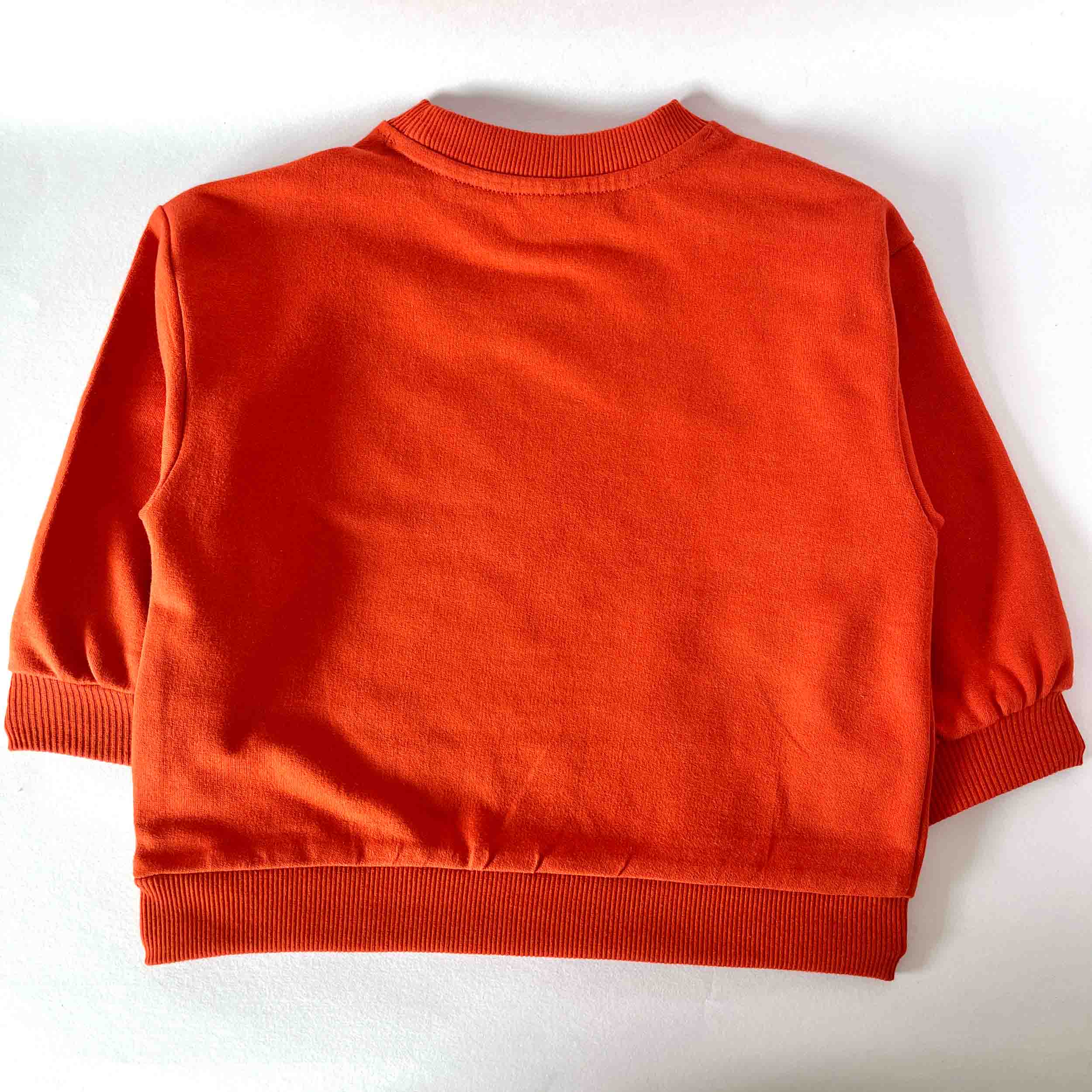 Kids plain cotton sweatshirt back view with round neck and long sleeve design 